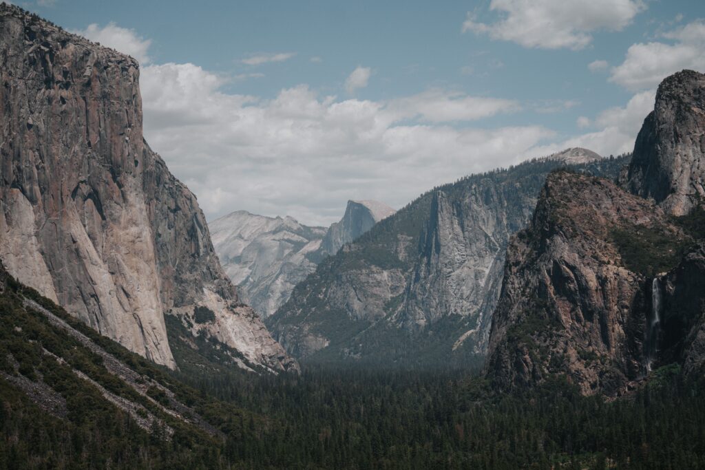 El Capitan rising above the forested floor of Yosemite Valley in California