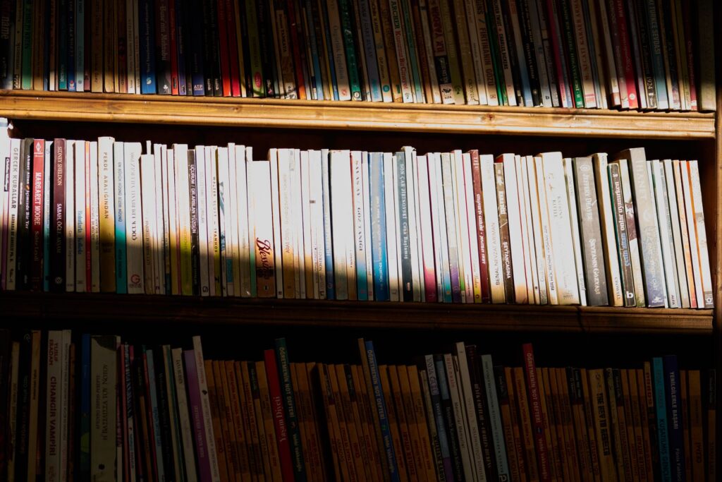 Rows of books on a sunlit university library shelf